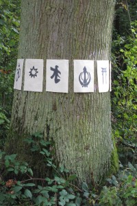 Baum der Erkenntnis